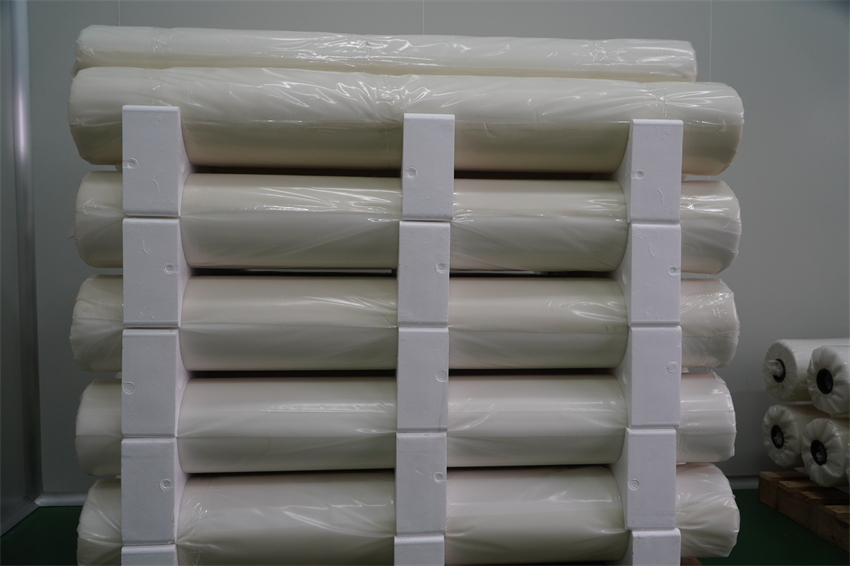 DSC06297 - 副本.JPG