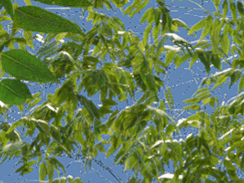 741915d4a5351a6316dd194c1c755b39b957f3bb