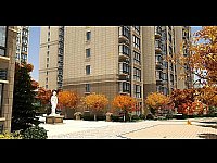 �|ͨ���H�����S�����Ӯ�3D����Ƭ���ֽ؈D