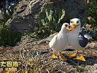 ʥ�Q��(ji��)����������3D��(d��ng)���Ӱ����˹��ð�U(xi��n)�� �A(y��)��Ƭ�l(f��)��